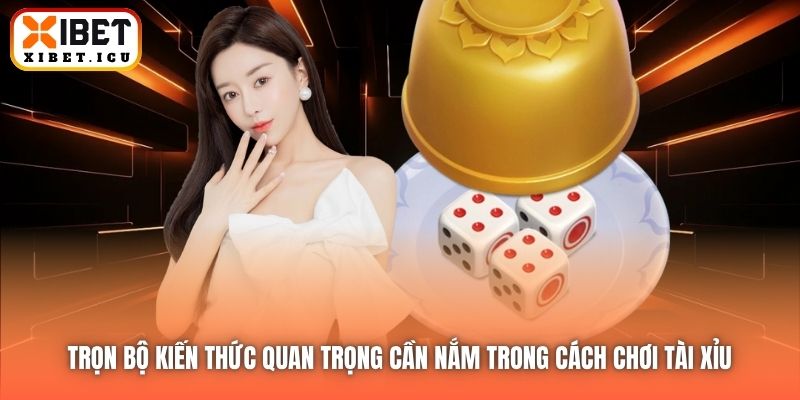 Trọn bộ kiến thức quan trọng cần nắm trong cách chơi Tài Xỉu 