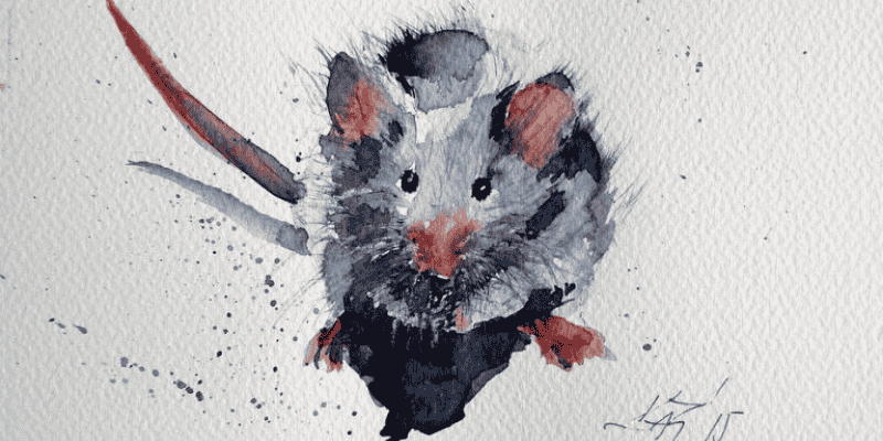 Cách hoá giải điềm xấu sau giấc chiêm bao