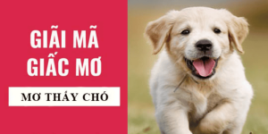 Nằm Mơ Thấy Chó: Luận Giải Điềm Báo Hung Cát & 99+ Con Số Tài Lộc