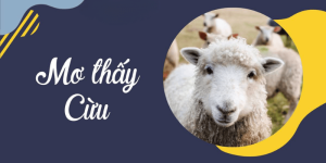 Luận Giải Mơ Thấy Cừu: Báo Hiệu Giàu Sang & Con Số Phát Tài