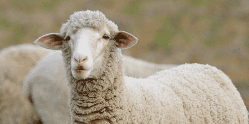 Tìm hiểu con số tài lộc tương ứng