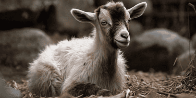 Luận giải con số tài lộc tương ứng