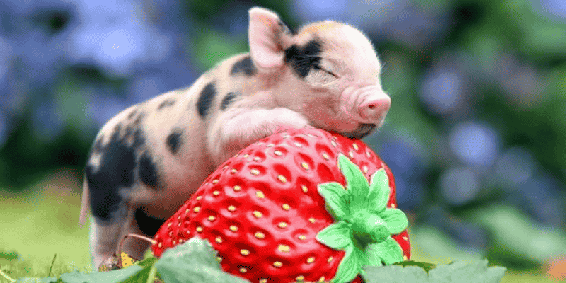 Những điều cần làm khi giấc mơ mang điềm dữ