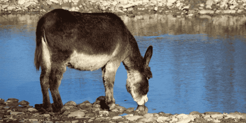 Lý giải con số tài lộc nên thử vận may