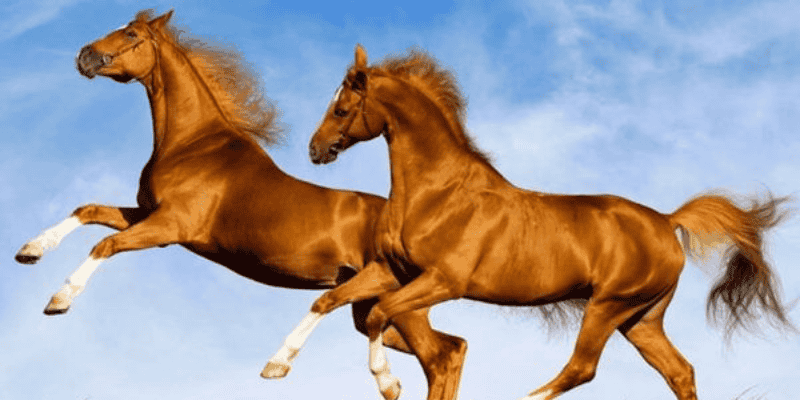 Luận giải con số tài lộc để thử vận may