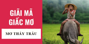 Giải Mã Giấc Mơ Thấy Trâu: Điềm Báo Hung Hay Cát & Con Số Tài Lộc