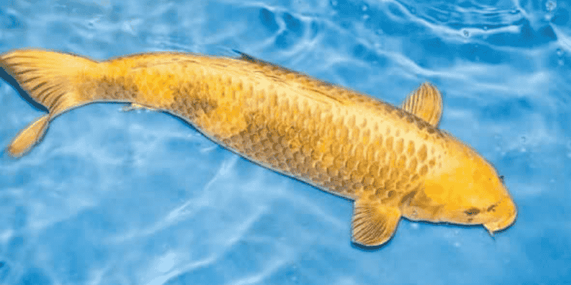 Thông tin về những con số may mắn liên quan