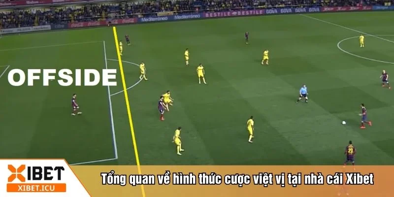 Hiểu rõ cược việt vị là gì trong cá độ bóng đá