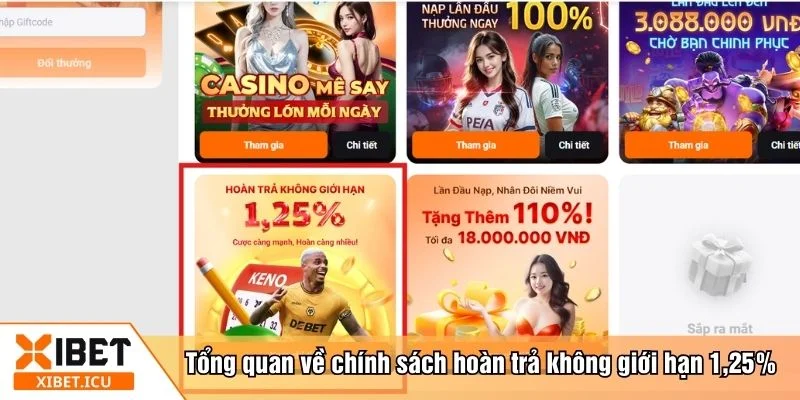 Hoàn trả không giới hạn 1,25% được cập nhật tự động