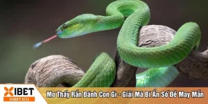 Mơ thấy rắn đánh con gì