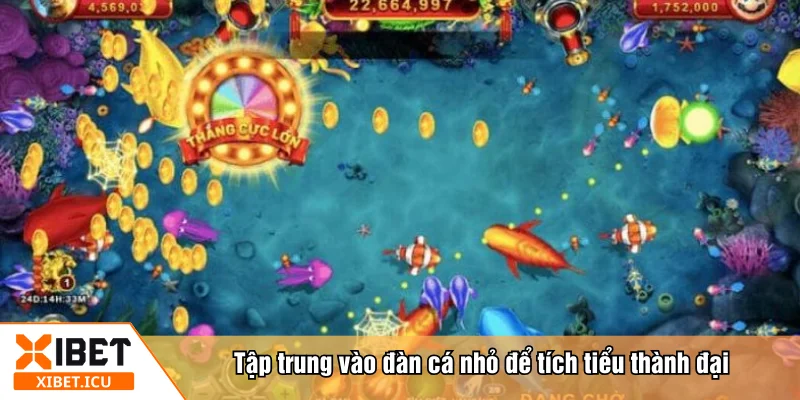 Tập trung vào đàn cá nhỏ để tích tiểu thành đại