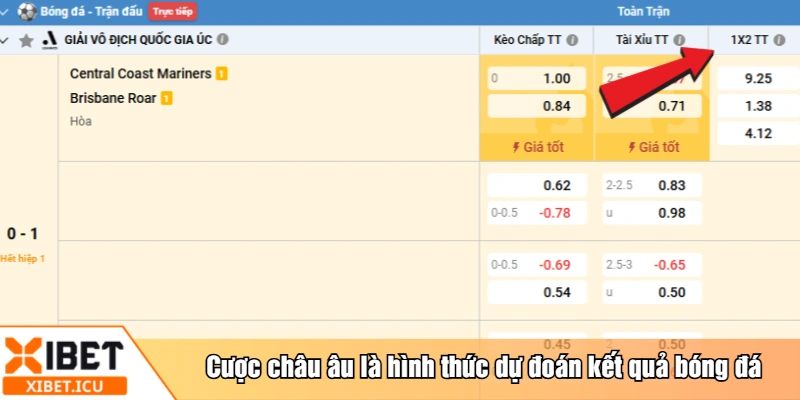 Cược châu âu là hình thức dự đoán kết quả bóng đá